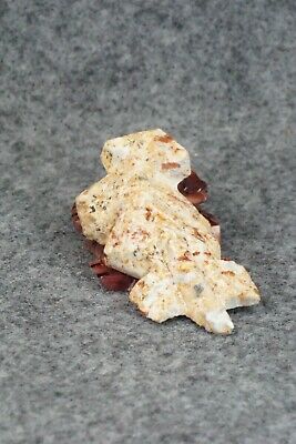 Horned Toad Zuni Fetish Carving - Carl Etsate - Image 5